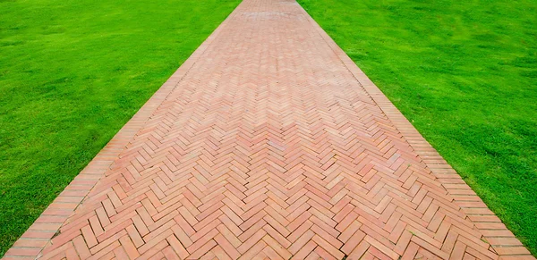 Chemin de randonnée avec fond d'herbe verte — Photo