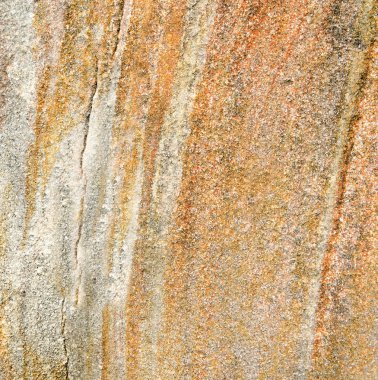 Antik taşlaşmış ahşap arka plan doku 