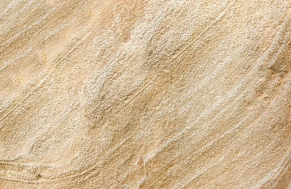 Textura de fondo de madera petrificada antigua —  Fotos de Stock