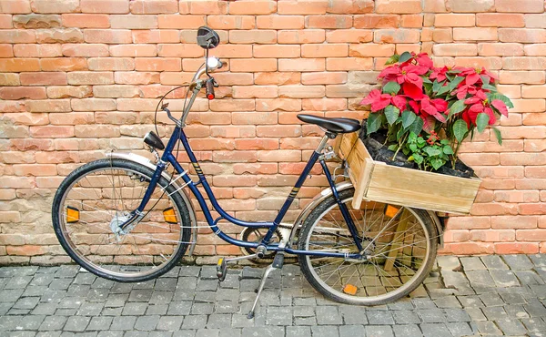 Bicicleta carregando flores no fundo do tijolo — Fotografia de Stock