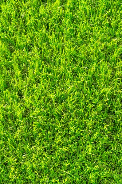 Sfondo erba verde artificiale — Foto Stock