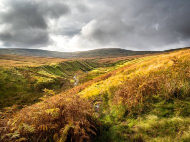 Kırlık araziden Little Whernside 'a doğru olan manzara. Yorkshire Dales Ulusal Parkı