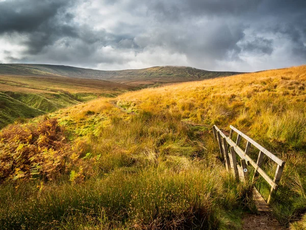 Little Whernside 'a doğru tahta bir yaya köprüsü ile açık arazinin manzarası. Yorkshire Dales Ulusal Parkı