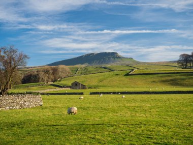 Yorkshire Dales Ulusal Parkı 'ndaki Pen-y-ghent Dağı. 2,277 feet yükseklikte, bu 'Yorkshire' ın Üç Tepesi 'nden biri..