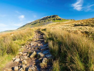 Yorkshire Dales Ulusal Parkı 'ndaki Pen-y-ghent dağına giden bir yol. 2,277 feet yükseklikte, bu 'Yorkshire' ın Üç Tepesi 'nden biri..