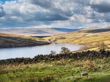 Swaledale koyunları arka planda dağlar olan bir su deposunun kenarında. Yara Evi. Nidderdale 'de. Yorkshire Dales Ulusal Parkı