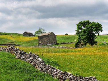 Ahır, kuru taş duvarlar ve bulutlu gökyüzü olan bir çayırda düğün çiçekleri. Bir yaz günü. Yockenthwaite. Yorkshire Dales Ulusal Parkı.        