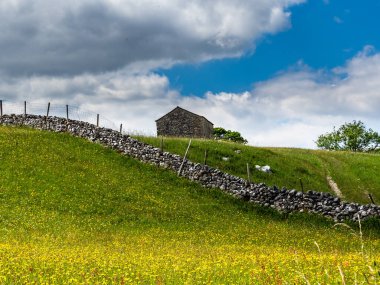 Ahır, kuru taş duvarlar ve bulutlu gökyüzü olan bir çayırda düğün çiçekleri. Bir yaz günü. Yockenthwaite. Yorkshire Dales Ulusal Parkı.        