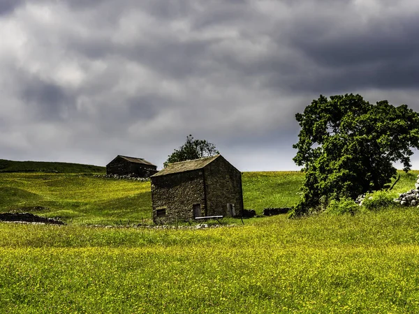 과마른 구름낀 초원의 여름날입니다 요크멘 요크셔 — 스톡 사진