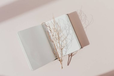 Açık not defteri ve pastel pembe arka planda kuru bir dalı olan şık, minimalist bir iş yeri. düz yatış, üst görünüm