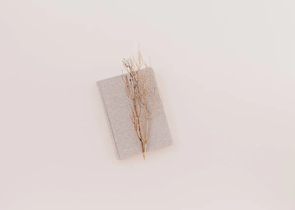 Stylish Minimalistic Workplace Notebook Dry Branch Pastel Pink Background Flat — Stock Photo, Image