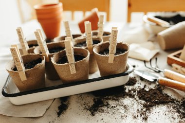 Tohumlar, saksılar, bahçe aletleri. Evde bahçe işleri.