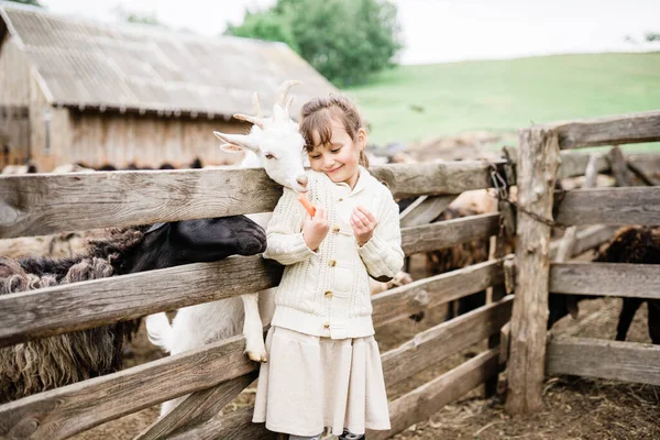 Kleines Mädchen füttert Ziegen auf dem Bauernhof. — Stockfoto