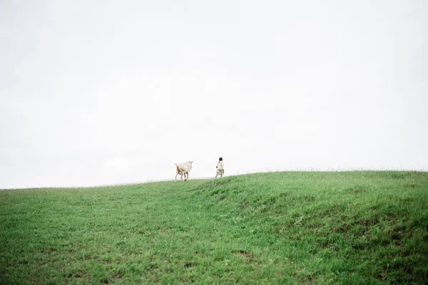 Jeune fille et chèvre sur les collines verdoyantes de la ferme — Photo