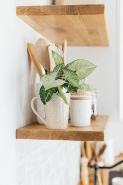 Çevre dostu mutfak, sıfır atık ev konsepti