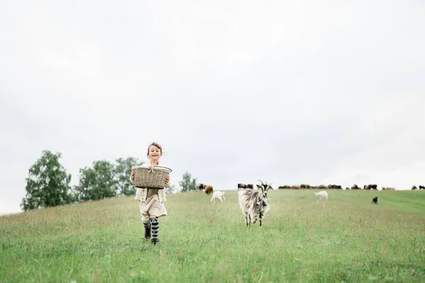 Κοριτσάκι που ταΐζει κατσίκες στη φάρμα. — Φωτογραφία Αρχείου