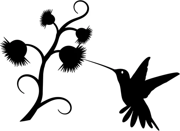 Hummingbird silhouette — Stock Vector