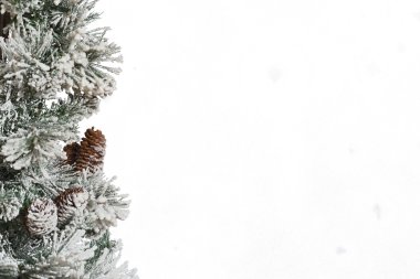 Gece karlı kış orman