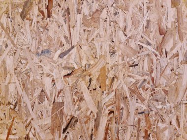 Kahverengi Hollywood Dokusunun Tam Çerçeve Arkaplanı