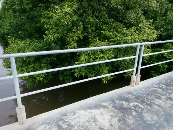 Passerelle Étroite Avec Balustrades Long Forêt Mangroves — Photo