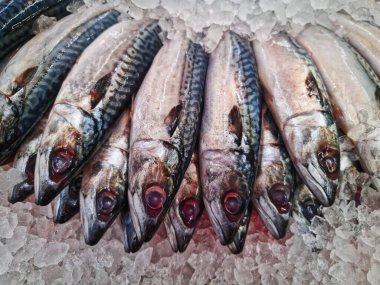 Süpermarkette Yüksek Açılı Taze Çiğ Uskumru Balığı Yığını Görünümü