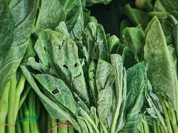 Купа Свіжих Зелених Овочів Має Отвори Листі Виглядає Смішне Обличчя — стокове фото