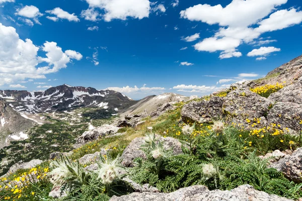 Paisagem selvagem em Colorado Montanhas Rochosas — Fotografia de Stock