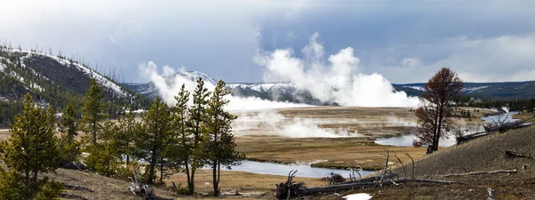 Pejzaż panoramiczny park narodowy Yellowstone — Zdjęcie stockowe