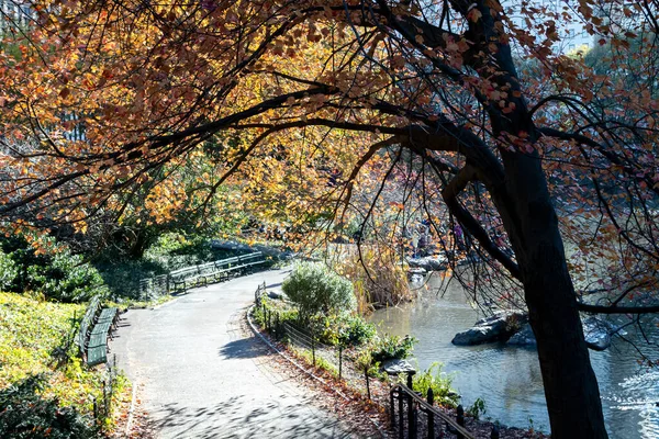 Central Park Herfst Landschap Scène Met Een Leeg Spoor Onder — Stockfoto