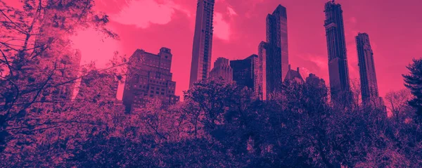 New York Şehrinin Silueti Manhattan Binaları Central Park Ağaçlarının Çerçevelediği — Stok fotoğraf