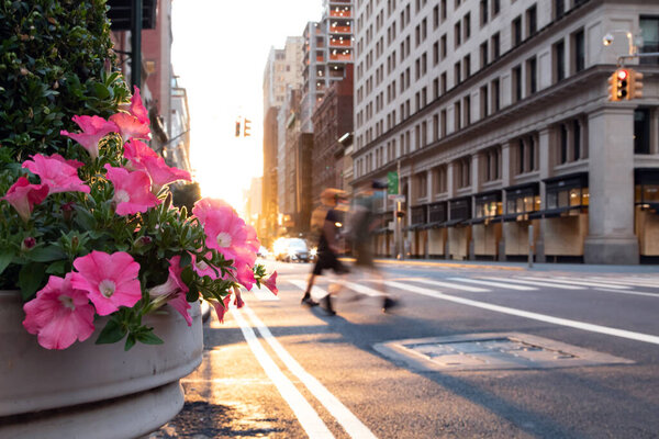 New York City street scene with colorful flowers and men walking across the intersection in Manhattan NYC