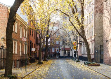 New York, Manhattan 'ın tarihi West Village Mahallesi' nde renkli sonbahar ağaçları sıralanır.