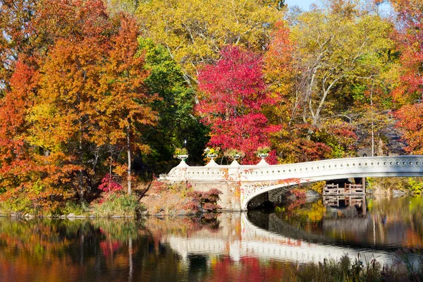 Central Park Bridge in autunno — Foto Stock