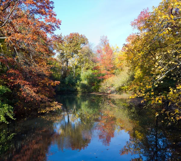 Central Park Nueva York en otoño — Foto de Stock