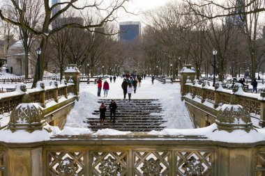 Central Park, New York City'deki kış Blizzard