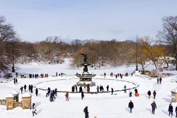 Inverno em Central Park, Nova Iorque — Fotografia de Stock
