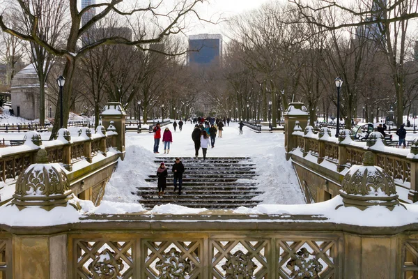 Inverno nevasca em Central Park, Nova York — Fotografia de Stock