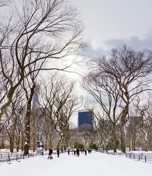 न्यूयॉर्क शहर हिवाळी सेंट्रल पार्क — स्टॉक फोटो, इमेज