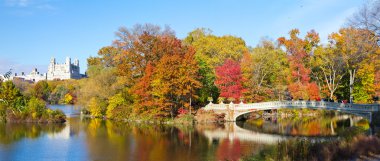 New York City - Central Park Panoramic Landscape clipart