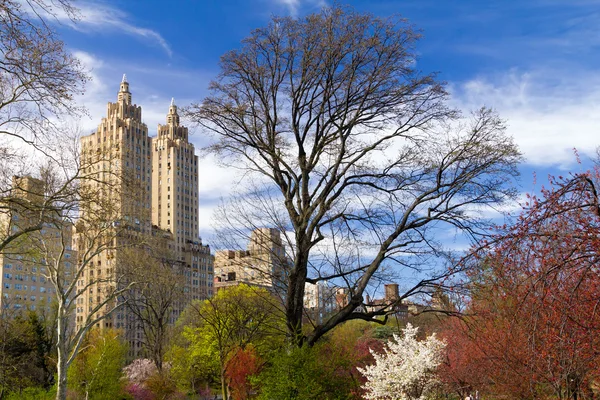 Paesaggio primaverile a Central Park New York — Foto Stock