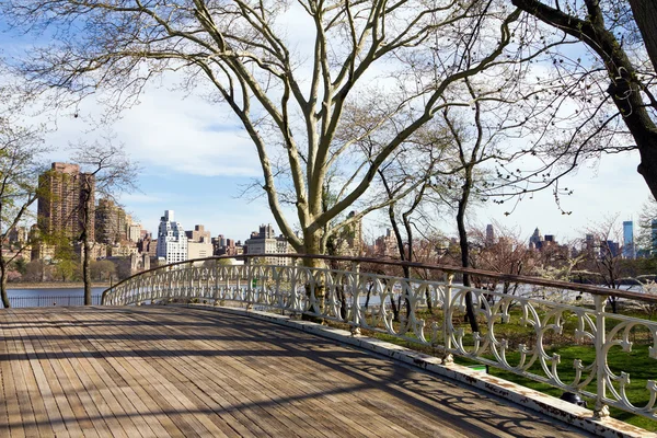 Bridge i Central Park Nyc — Stockfoto