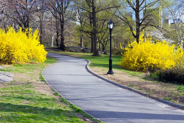 Caminho através do Central Park em Nova York — Fotografia de Stock