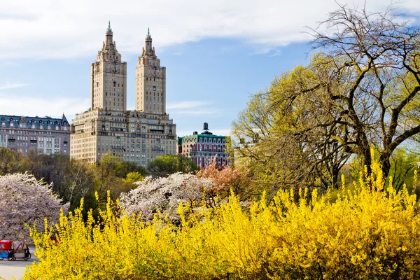 New York City - Central Park våren landskap — Stockfoto