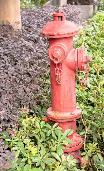 Tuyau d'incendie, outils d'eau — Photo