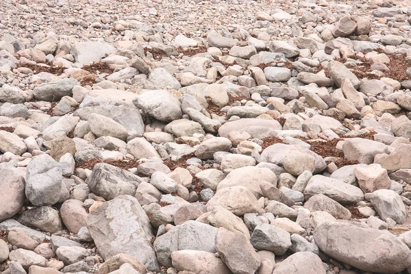 Stones on ground — Stock Photo, Image