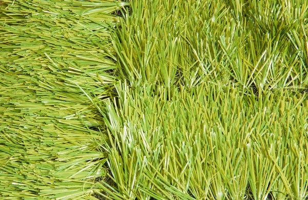 Artificial Grass — Stock Photo, Image