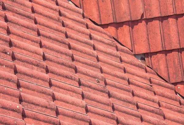 Red roof home — Stock Photo, Image