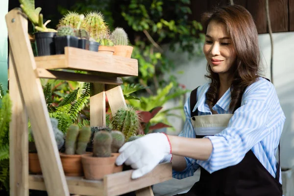 Asiatique Femme Foyer Dans Tablier Assis Organiser Des Pots Cactus — Photo