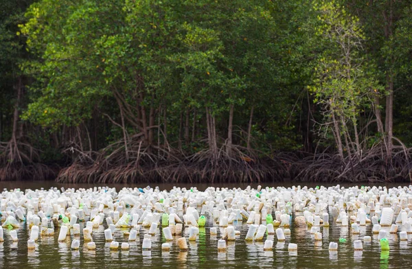 Oyster Farming Eastern Thai Agriculturist Technic Use Old Plastic Bottle — Stock Photo, Image