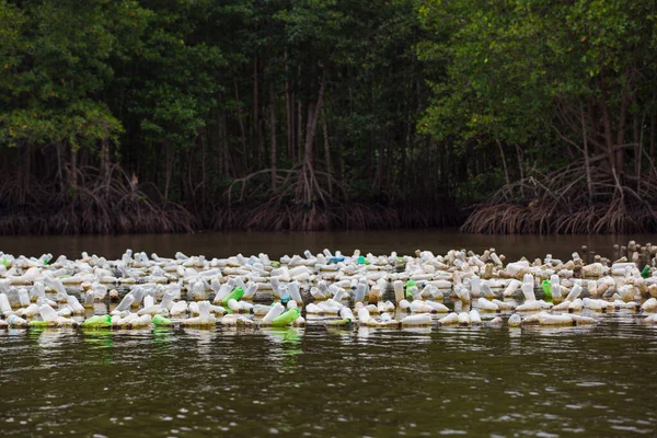 Austernzucht Nach Ostthailändischer Landwirtschaftlicher Technik Sie Verwenden Alte Plastikflaschen Austern — Stockfoto